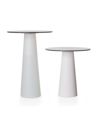 Mauris lacinia lectus 29 (2)